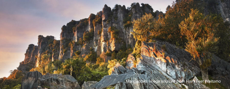 Mangaotaki. Image sourced from Hairy Feet Waitomo Mangaotaki. Image sourced from Hairy Feet Waitomo