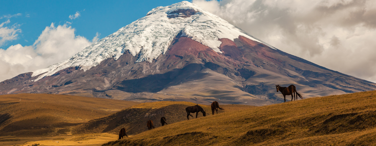 Cotopaxi National Park, Ecuador. 