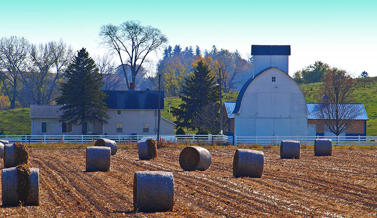 farm