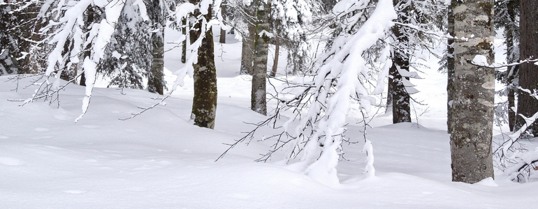 Cross Country Skiing Cross Country Skiing