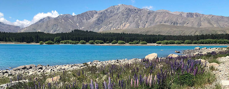 Lake Tekapo New Zealand