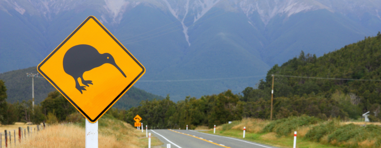 New Zealand Road Trip Itinerary