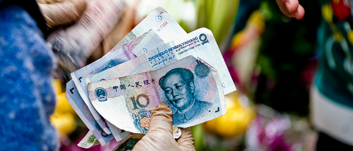 Language of Money - Chinese coins