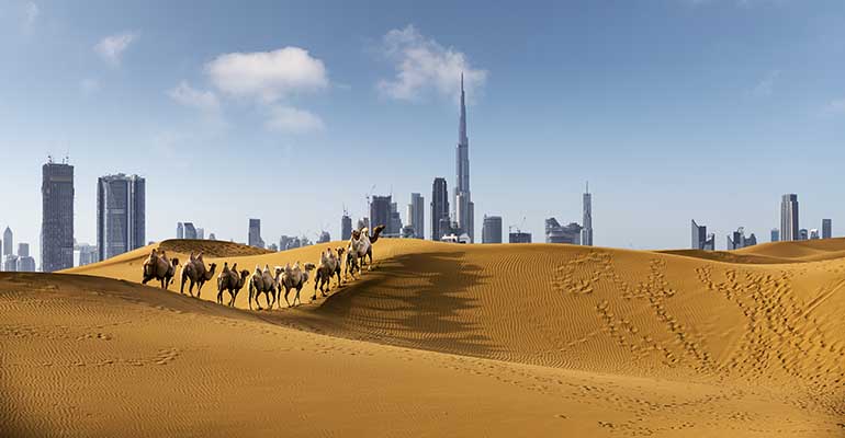 Dubai sand dunes