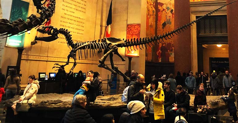 American Museum of Natural History