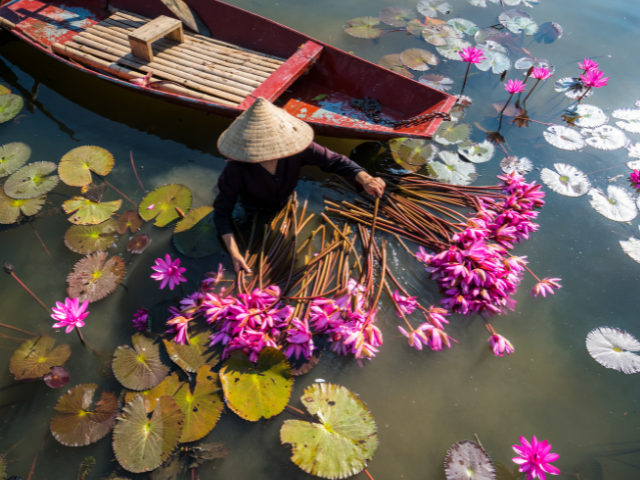 Vietnam tourism, vietnam travel guide, vietnam travel tips, vietnam currency