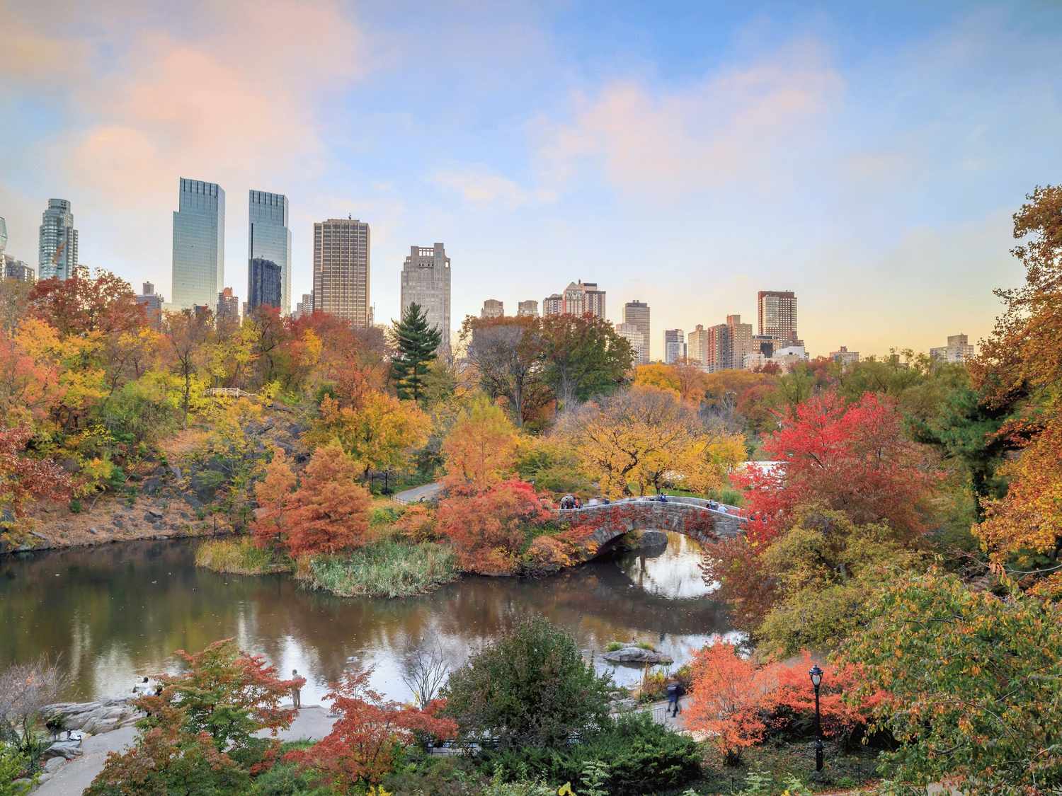 Travel Guides New York Feature Image