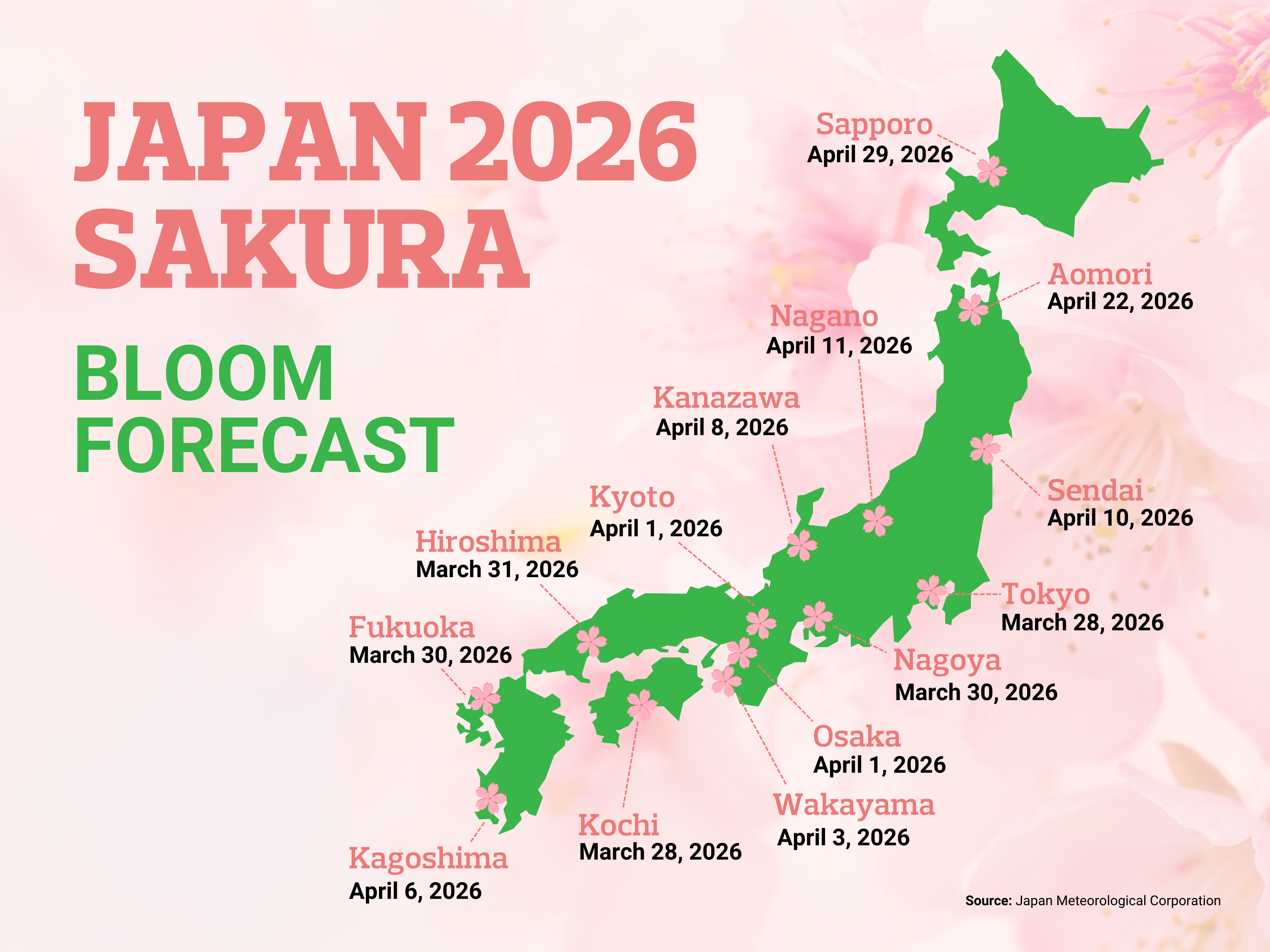 cherry blossom season japan (1)