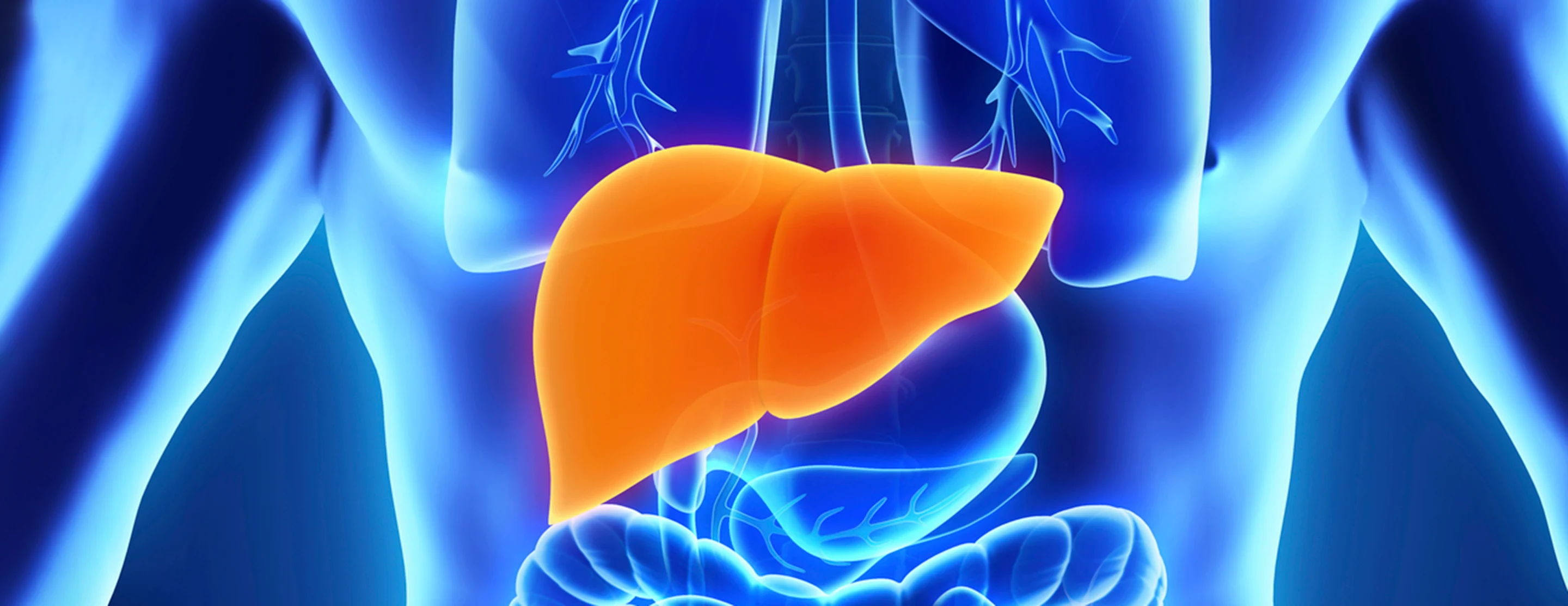 liver-donors-faq-evaluation-to-become-a-donor-2x
