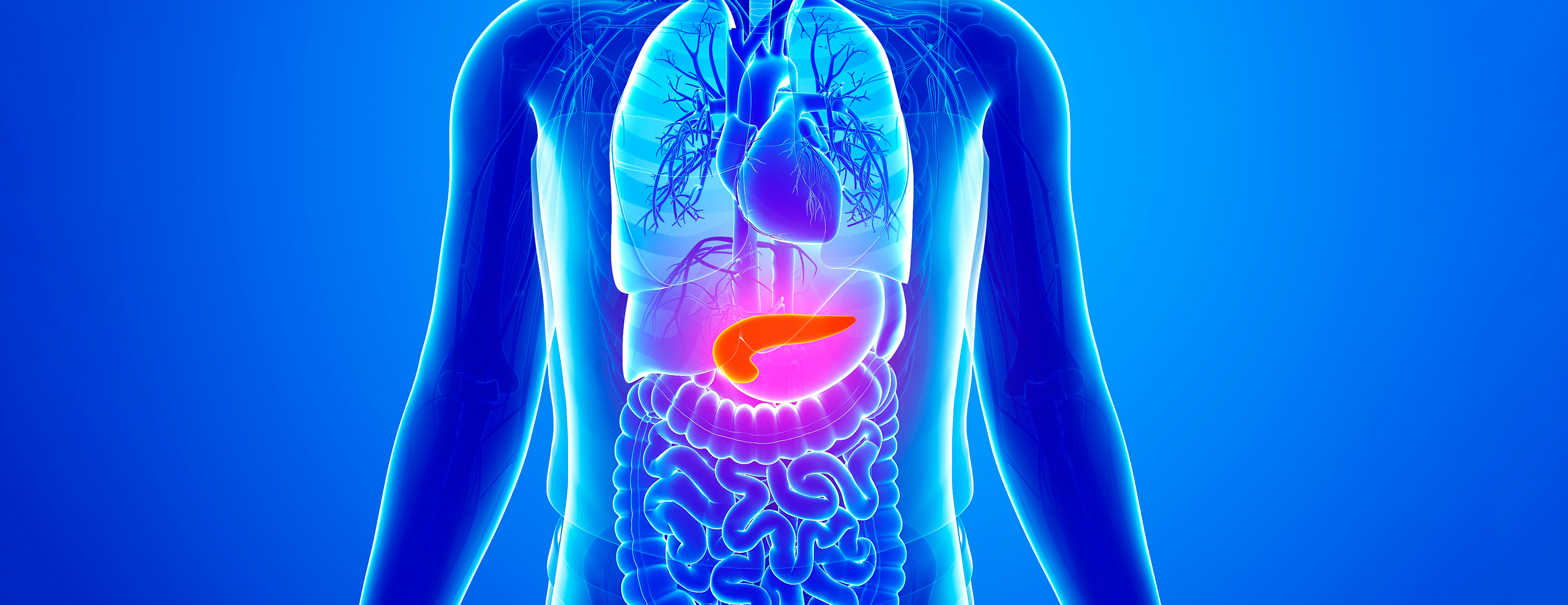 pancreas-injuries-and-home-care-2x