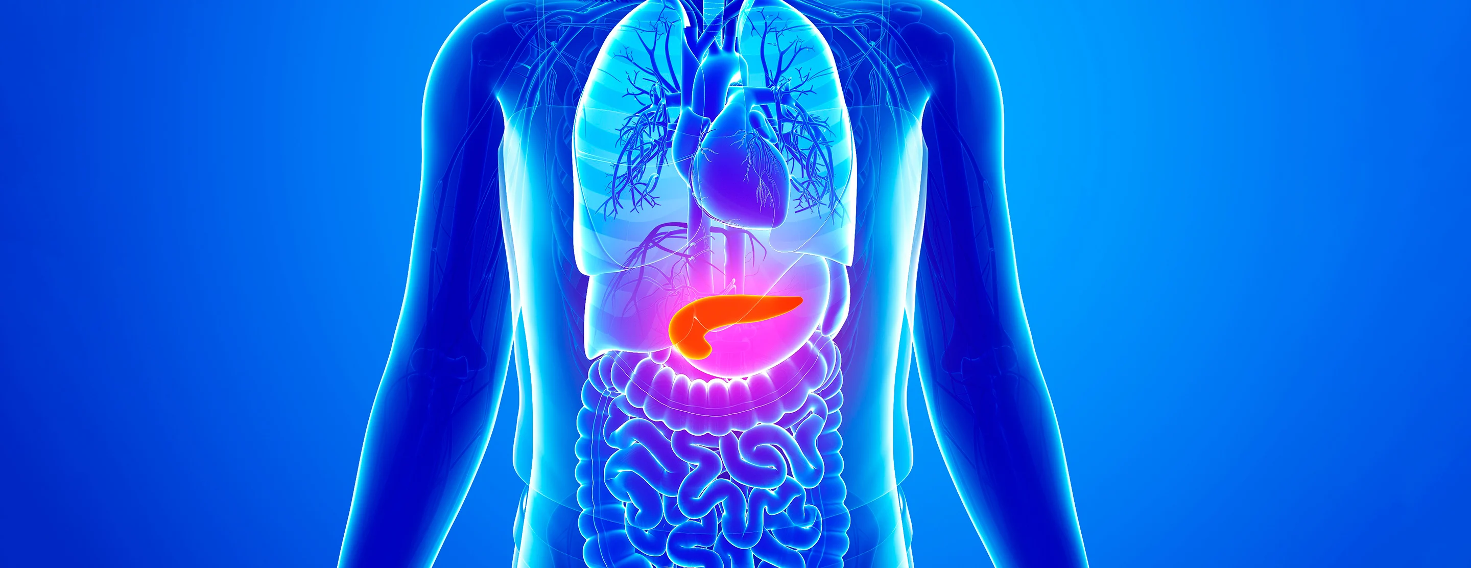 pancreas-injuries-and-home-care-2x