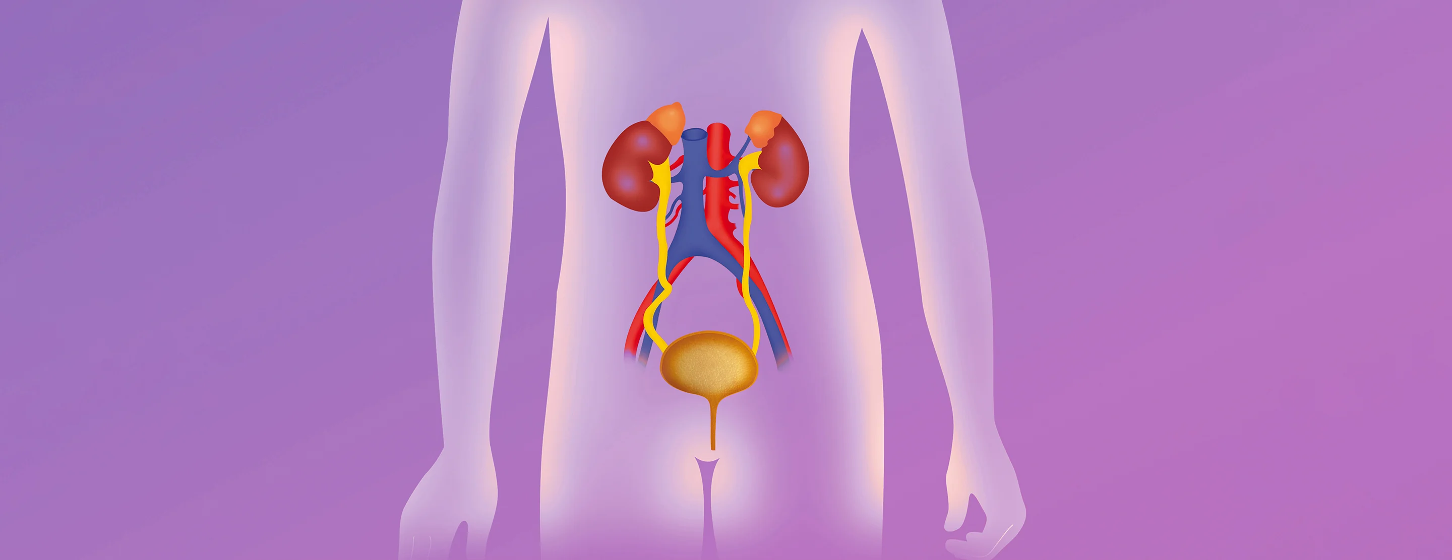 ureteral-reimplant-surgery-faq-2x