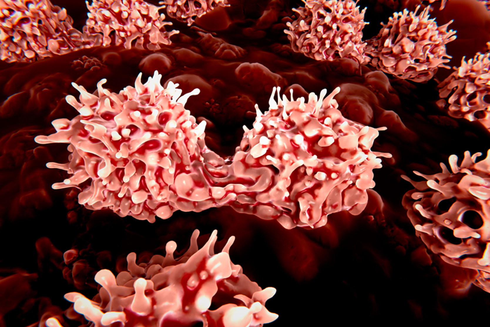 marrow-stem-cell-defects-treatment-options-2x