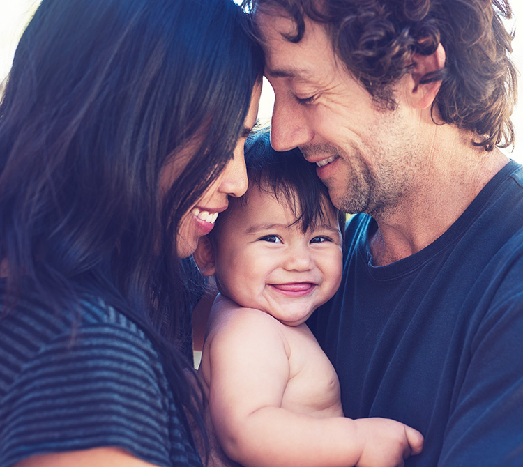 Ovum Donor Program