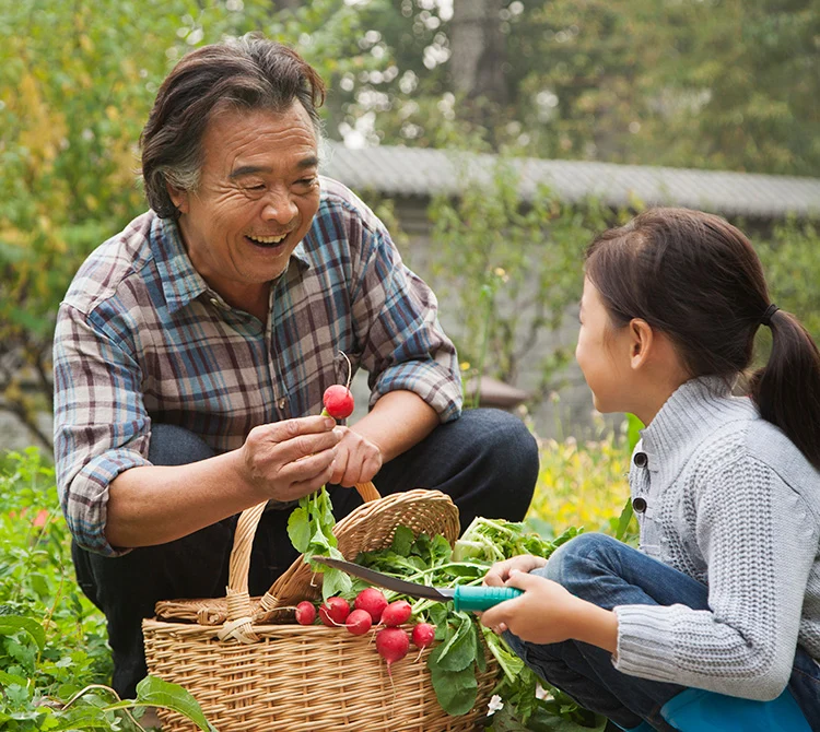 Asian Heart & Vascular