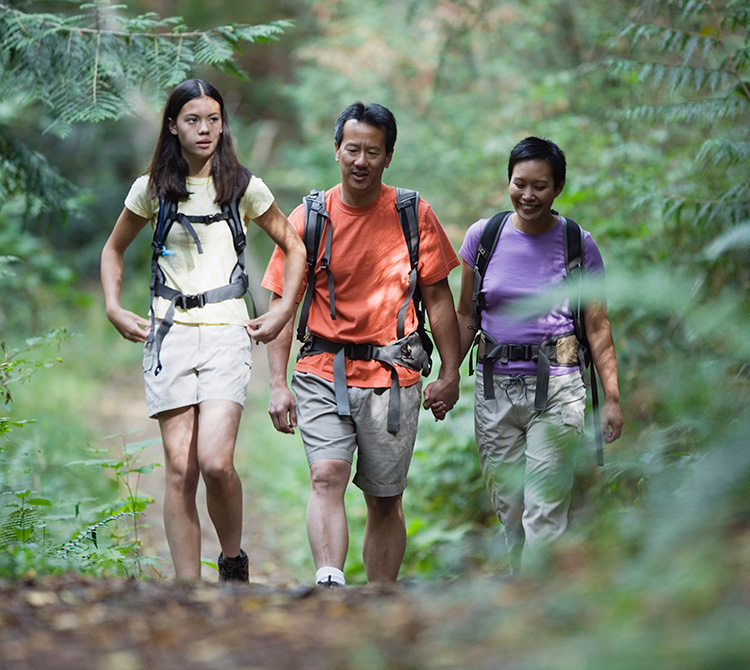 Cardiovascular Genetics