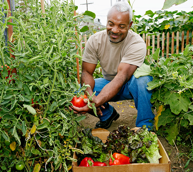 COmplex Abdominal Surgery Program