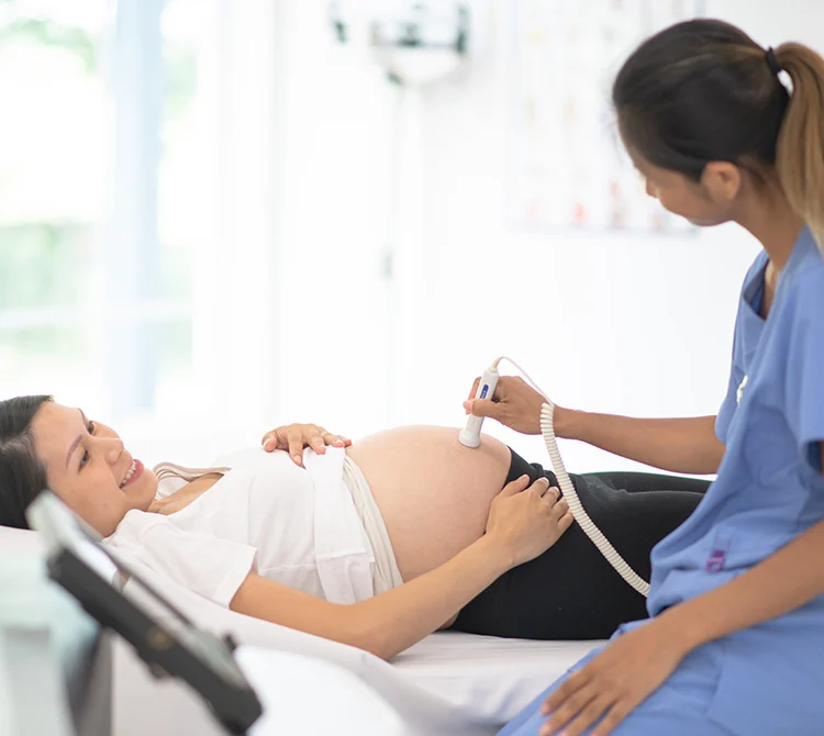 Early Fetal Anatomy Evaluation