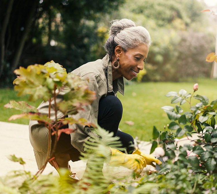 Otology, Neurotology and Skull Base Surgery