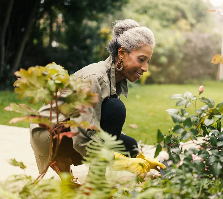 Otology, Neurotology and Skull Base Surgery