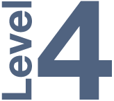 Level 4