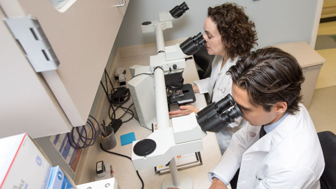 Diana Bolotin, MD, PhD, and Eduardo Moioli, MD, PhD, examine tissue under a microscope