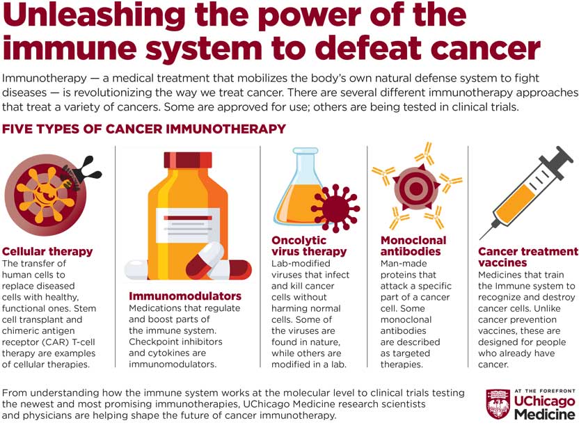 Five types of cancer immunotherapy infographic