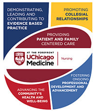 Professional Practice Model (PPM) logo