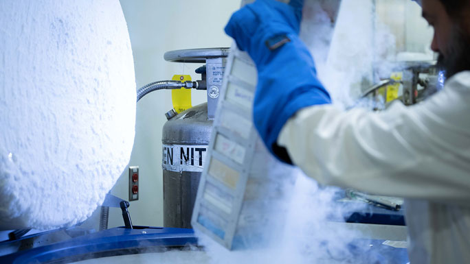 researcher pulling frozen specimen out of liquid nitrogen