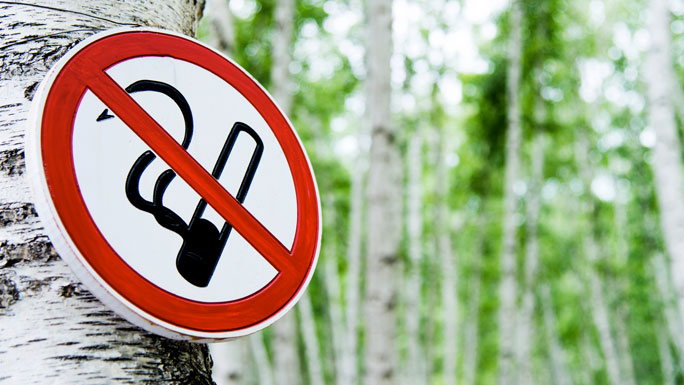 no smoking sign attached to a tree