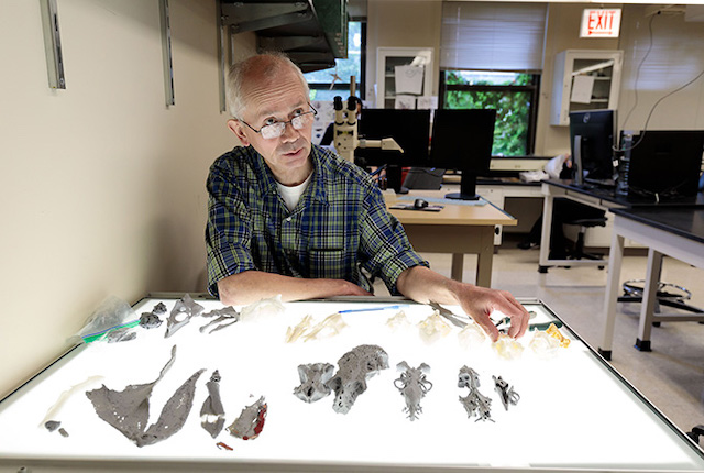 Michael Coates, PhD, chair of the Committee on Evolutionary Biology, studies early vertebrate diversity and evolution.