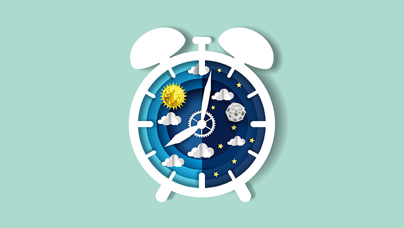 Timing is everything: Circadian clocks set the rhythm for vital ...