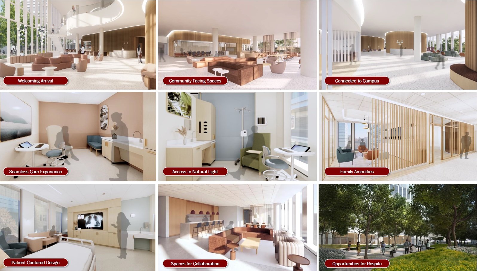 cancer pavilion spaces