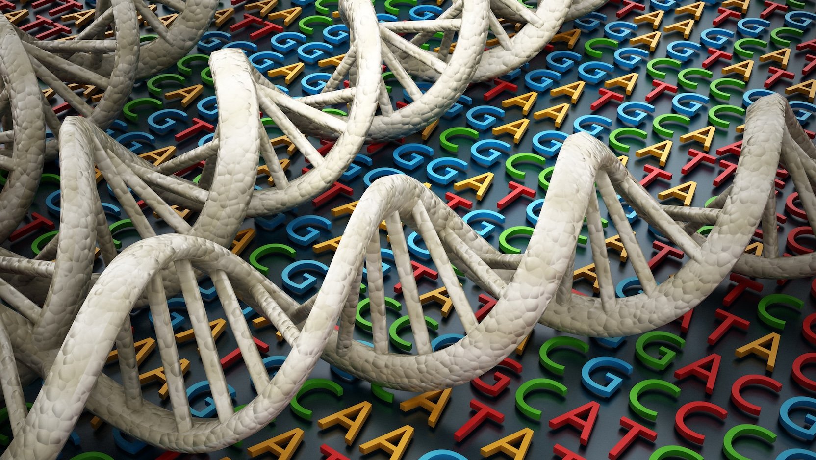 New genetic tools offer more accurate breast cancer prediction for women of African ancestry