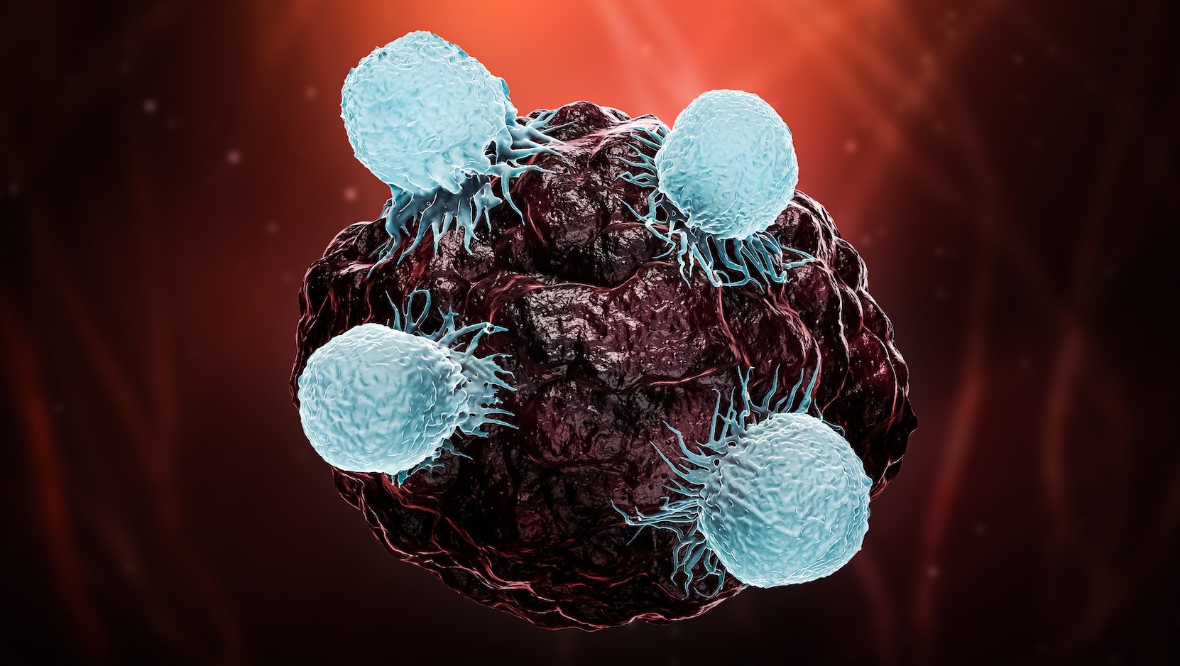 Disarming cancer stem cells' shield makes immunotherapy more effective