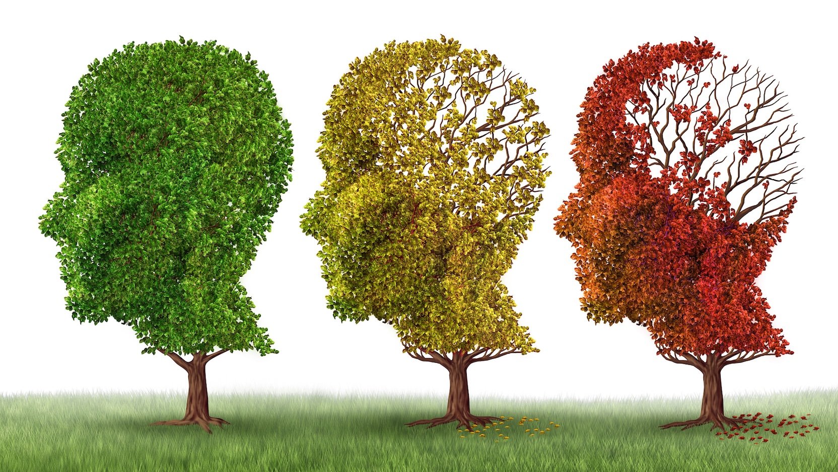 Memory loss: What's normal and what's not