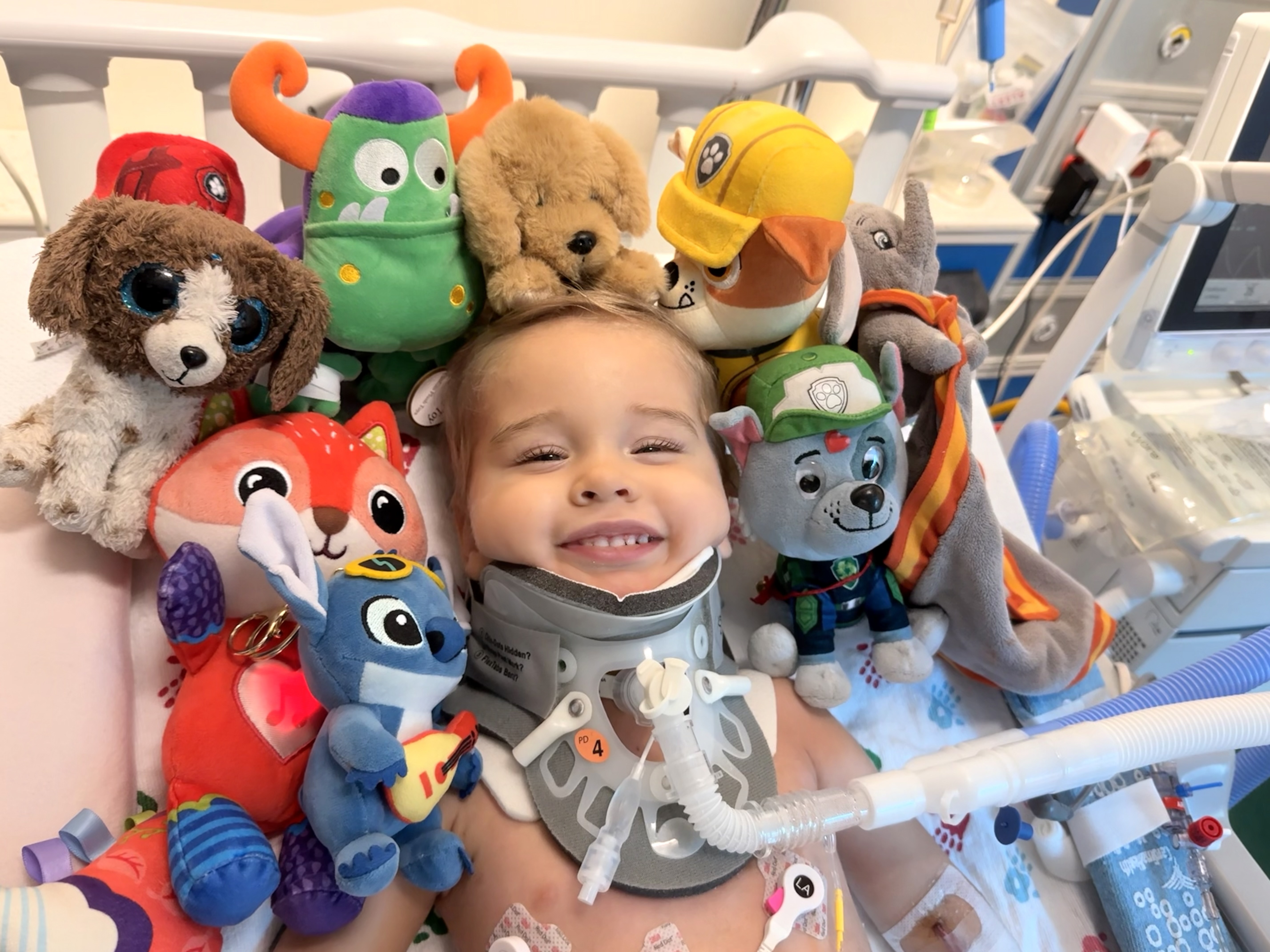 Oliver Staub, 2, underwent two complex surgeries at UChicago Medicine Comer Children's Hospital that reattached his head to his spinal cord.