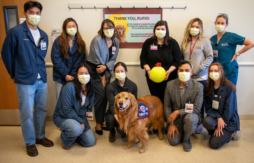 A group of 10 people pose with a golden retriever wearing a Therapy Dog vest