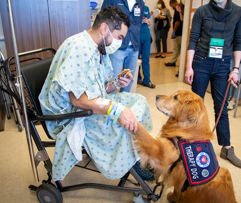 A young man in a wheelchair wearing a hospital gown shakes the paw of a golden retriever wearing a Therapy Dog vest