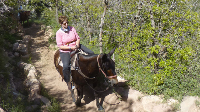 Ellen Szelina riding in the Grand Canyon