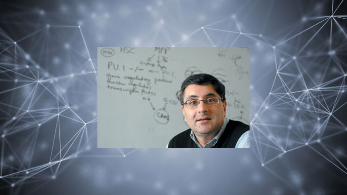 Harinder Singh, PhD