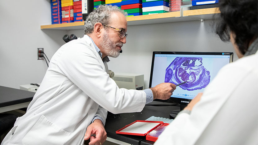 Image of Dr. Ivan Moskowitz working on pediatric heart care research with a colleague