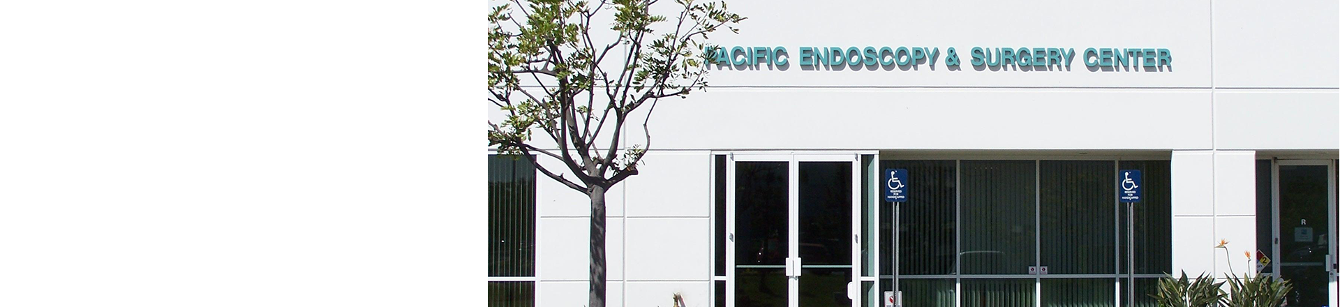 Pacific Endoscopy and Surgery Center