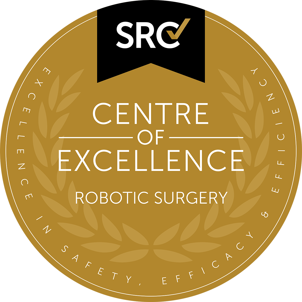 centre of excellence logo