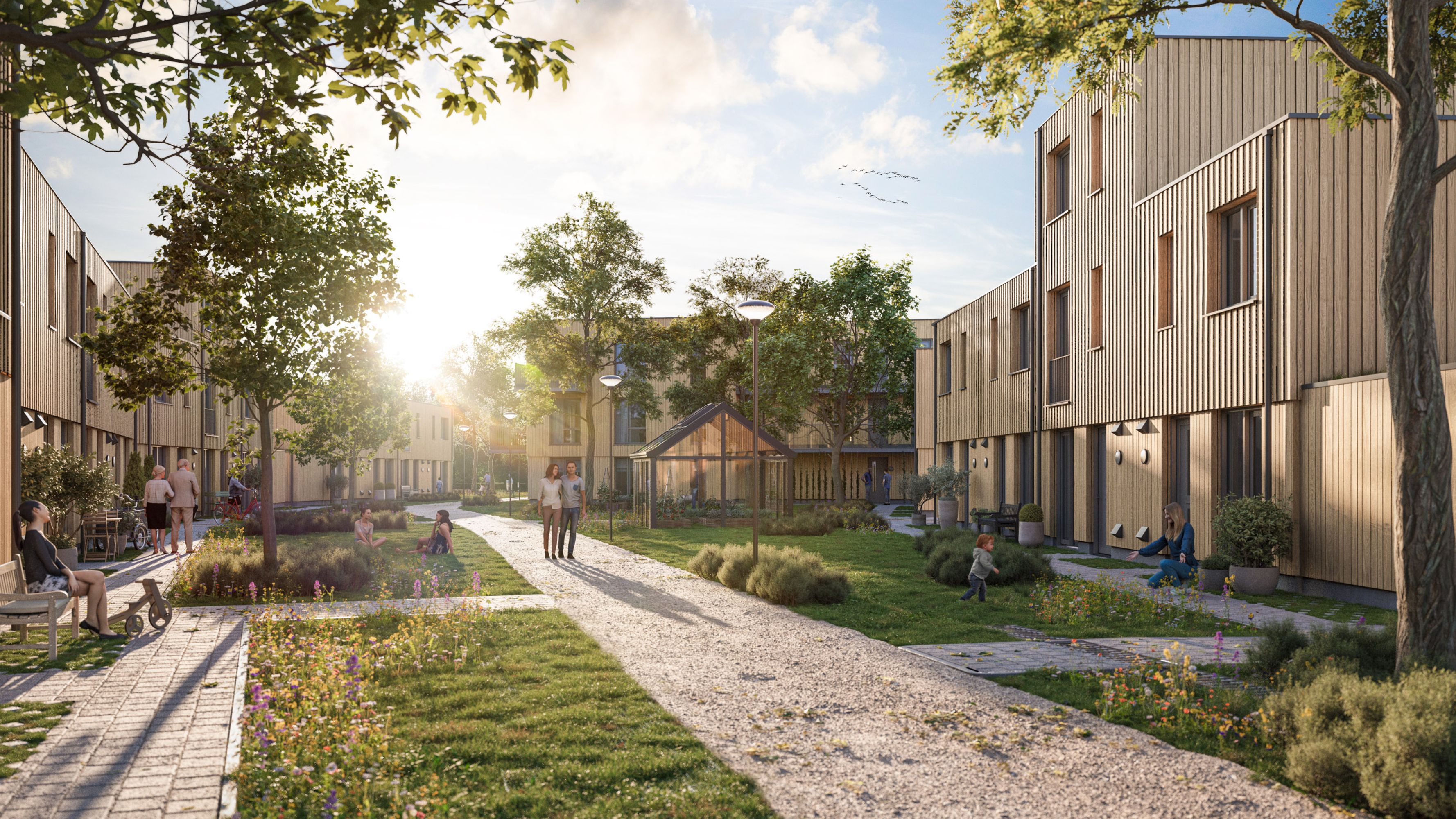 Artist Impression - wijk Eindhoven - Buurtschap te Veld - special hout