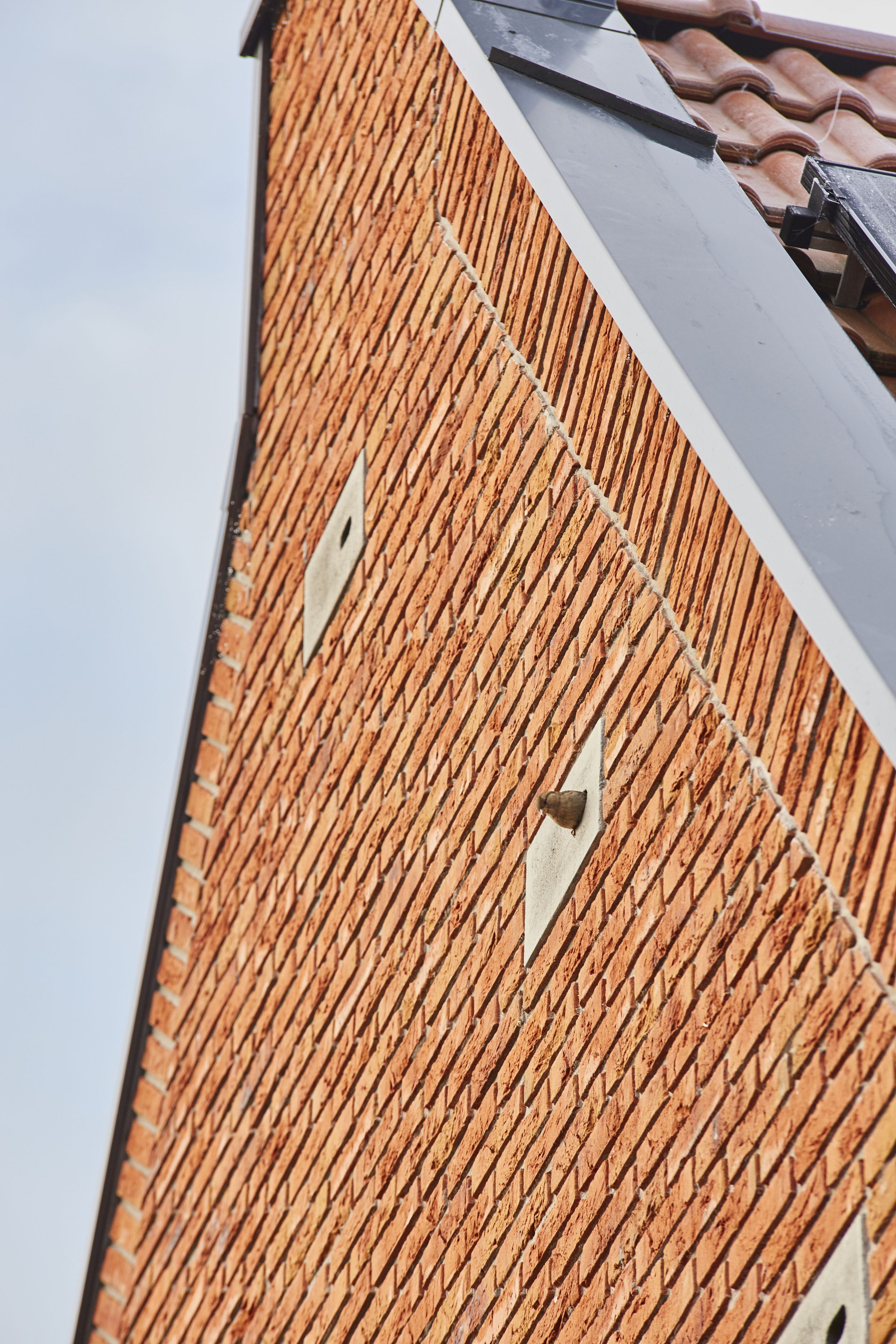 Foto van de gevel van een van de woningen in Akkrum met nestkasten in de gevel