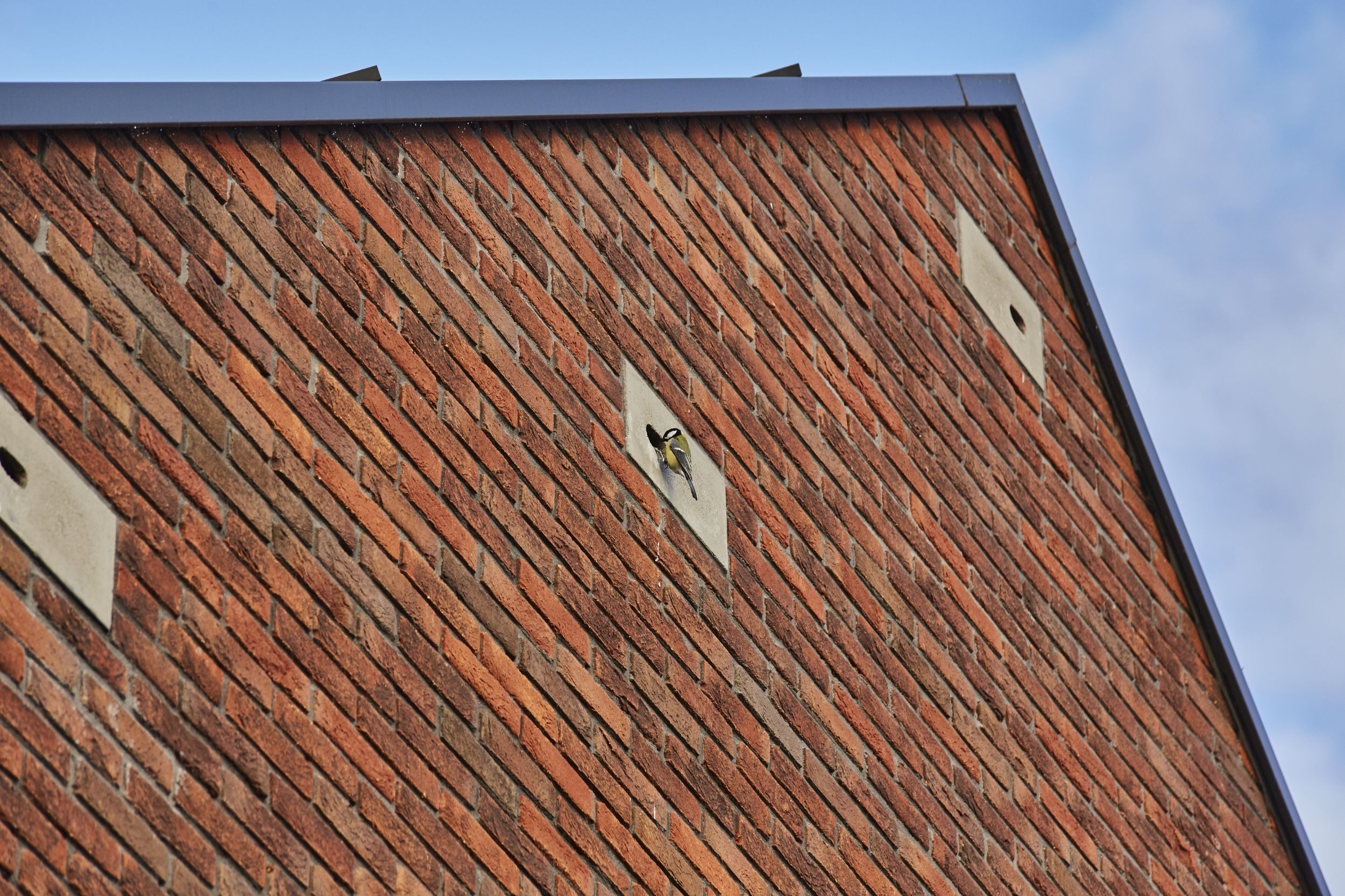 Foto van een gevel met nestkasten in Akkrum