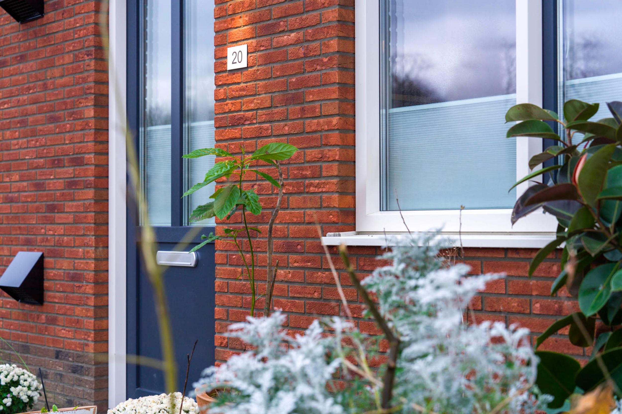 Alphen Appelhoek - Voortuin