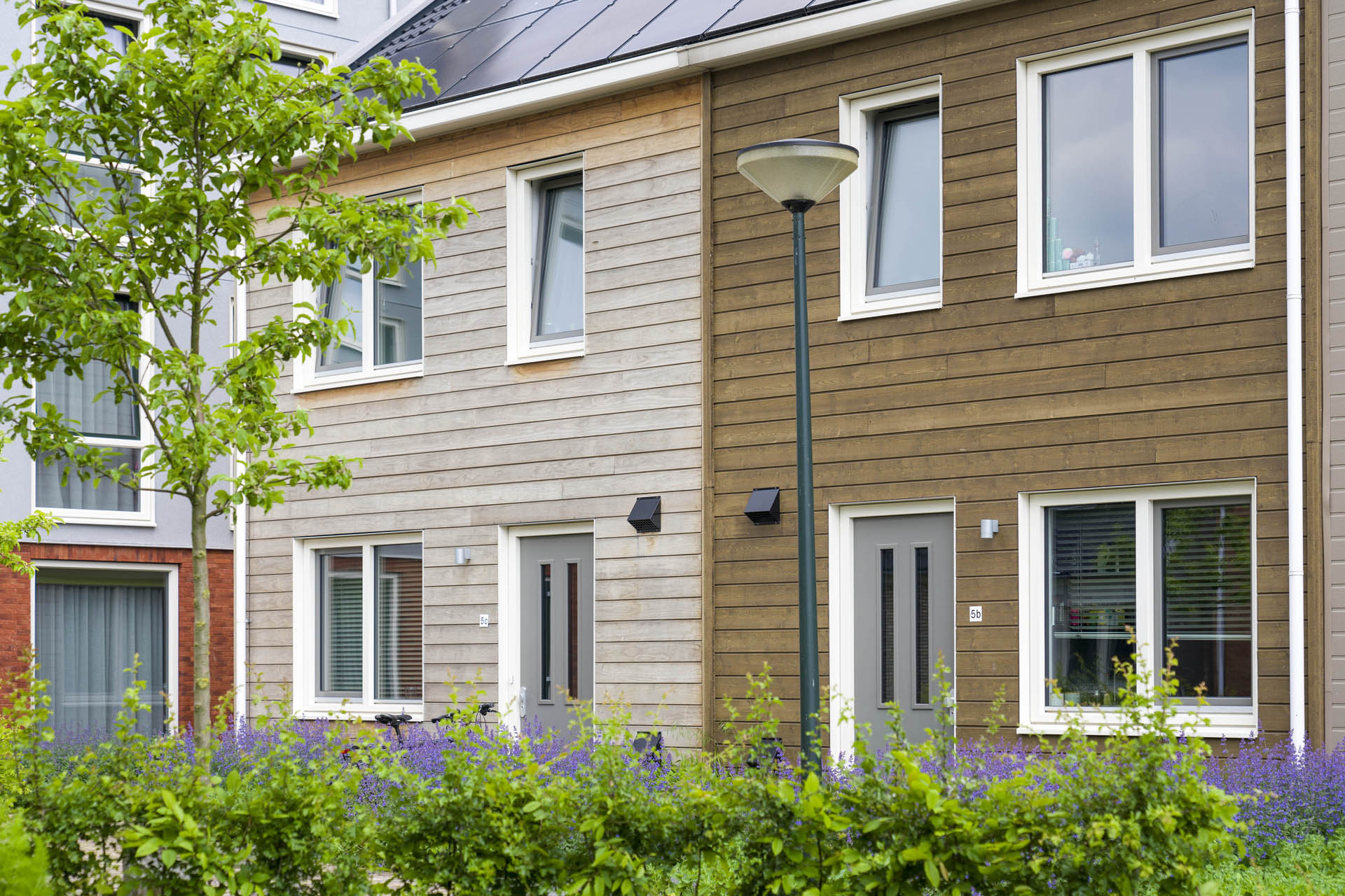 Gevels op de Loskade