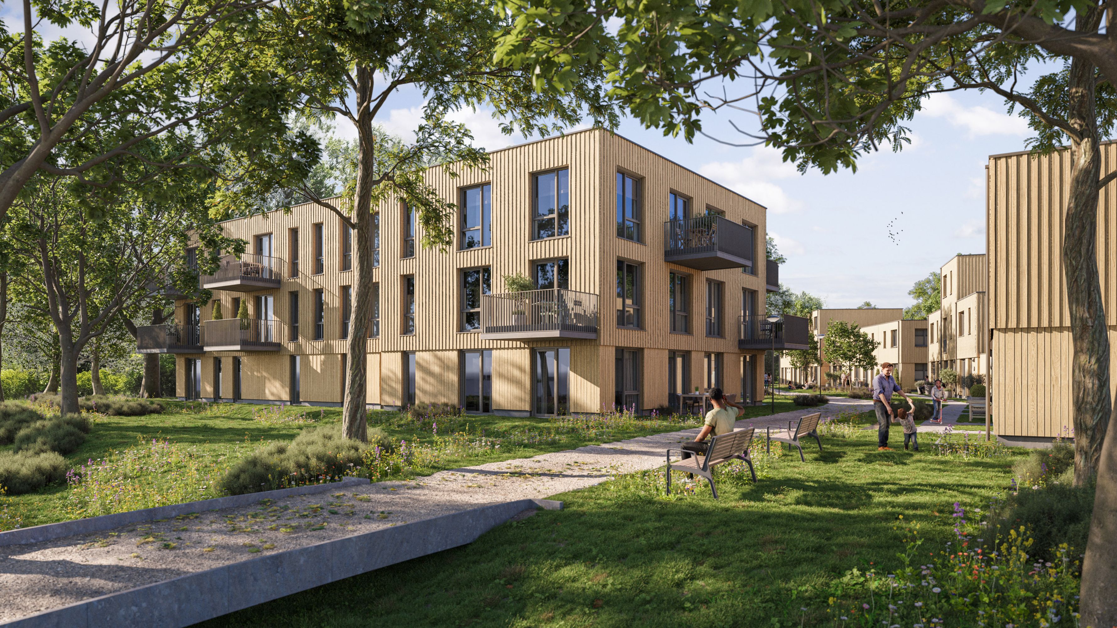 Artist Impression - Wijk overzicht - Buurtschap te Veld - Eindhoven - special hout